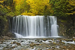 Canada, Ontario. Boyne River at Hoggs Falls in autumn