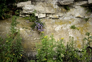 Images Dated 3rd February 2010: Canada: Ontario, Bruce Peninsula, Tobermory. Limestone at edge of LIttle Tub Harbour