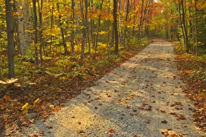 Images Dated 31st March 2018: Canada, Ontario, Bruce Peninsula National Park. Autumn on the Bruce Trail