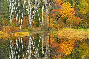 Canada, Ontario, Capreol. Trees reflected in Vermilion River in autumn. Credit as