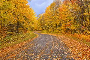 Away From It All Prints: Canada, Ontario. Country road through forest. Credit as