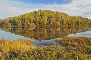 Images Dated 31st March 2018: Canada, Ontario, Goulais River. Forest reflection in lake