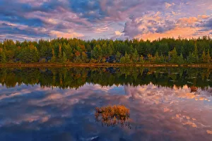 Images Dated 3rd April 2020: Canada, Ontario, Greater Sudbury. Lake grasses and cloud reflections at sunrise