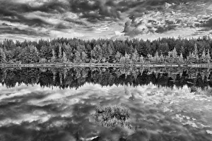 Images Dated 13th March 2020: Canada, Ontario, Greater Sudbury. Black and white of lake grasses