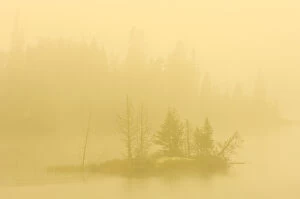 Canada, Ontario. Heavy morning fog on lake with small island