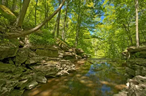 Images Dated 31st March 2018: Canada, Ontario, Jordan. 16 Mile Creek at Louth Falls. Credit as