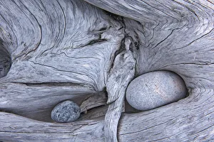 Canada, Ontario, Marathon. Rocks in driftwood on Pebble Beach