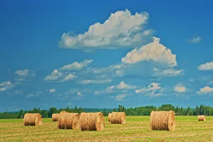 Prints of Canada, Ontario, New Liskeard. Hay bales in farm field Images Dated 2022 May: Canada, Ontario, New Liskeard. Hay bales in farm field