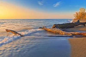 Drift Wood Prints: Canada, Ontario, Point Pelee National Park. Driftwood on Lake Erie shoreline at sunrise