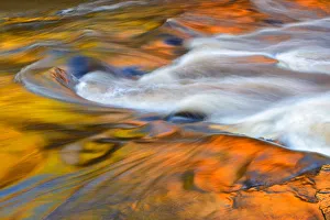 Canada, Ontario, Rosseau. Maple trees reflected in stream at sunset