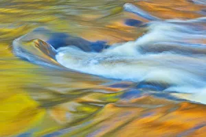 Canada, Ontario, Rosseau. Maple trees reflected in stream at sunset