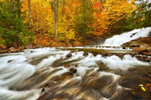 Rosseau Prints: Canada, Ontario, Rosseau. Skeleton River at Hatchery Falls in autumn