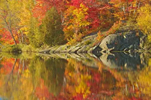 Images Dated 31st March 2018: Canada, Ontario, Simon Lake Park Conservation Area. Forest