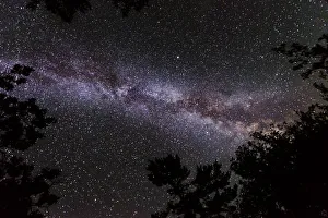 Away From It All Prints: Canada, Ontario, Sioux Narrows Provincial Park, Night sky with Milky Way