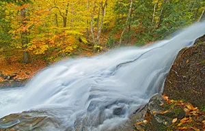 Ontario Prints: Canada, Ontario. Skeleton River at Hatchery Falls in autumn