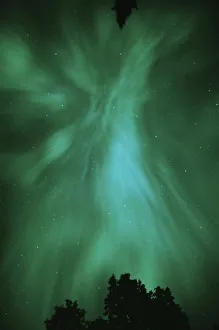 Northern Light Prints: Canada, Ontario, Sudbury. Northern Lights and trees