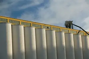 Images Dated 10th October 2005: CANADA-Ontario-Thunder Bay: Keefer Shipping Terminal / Grain Elevator