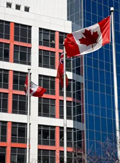 Canada, Ontario, Toronto. View of downtown buildings and Canadian flags