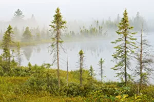 Canada, Ontario, Torrance Barrens Dark Sky Preserve. Fog on Highland Pond. Credit as