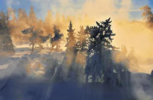 Images Dated 18th January 2011: Canada, Ontario, Vermillion Bay. Wabigoon River at sunrise