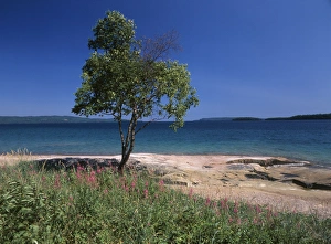 Images Dated 12th October 2017: Canada, Ontario, View of Lake Superior