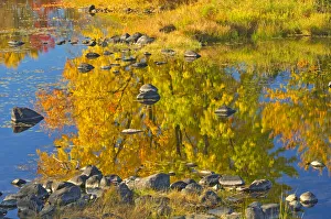 Images Dated 31st March 2018: Canada, Ontario, Whitefish. Autumn colors reflect in Vermilion River