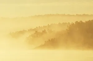 Whitefish Prints: Canada, Ontario, Whitefish. Fog along the Vermillion River at sunrise. Credit as
