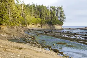 Images Dated 9th September 2014: Canada, Pacific Rim National Park Reserve; West Coast Trail, Shoreline; at Beach Acces A