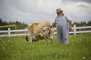 Images Dated 21st June 2007: Canada, Prince Edward Island
