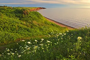 Away From It All Prints: Canada, Prince Edward Island, Campbelton. Red sand and bluffs along Northumberland Strait