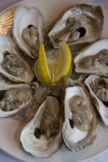 Images Dated 21st June 2007: Canada, Prince Edward Island. Oysters on half shell