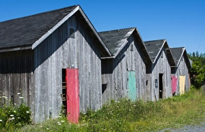 Images Dated 2029: Canada Prince Edward Island, P. E. I. Prim Point graphic beauty of stacked lobster