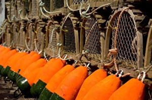 Maritime Province Prints: Canada, Prince Edward Island, Rustico. Lobster traps & colorful floats
