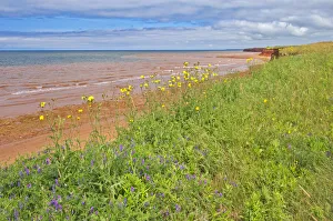 Canada, Prince Edward Island, Skinners Pond. Red sandstone beach on Northumberland Strait