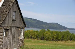 Apple Prints: Canada, Quebec