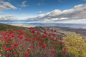 Images Dated 20th October 2017: Canada, Quebec, Carleton-sur-Mer. Elevated view from Mont-St-Joseph