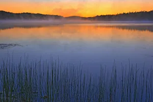 Reed Prints: Canada, Quebec, Chibougamau. Fog over Lac Sauvage at dawn