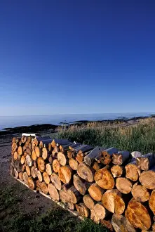 Firewood Prints: Canada, Quebec, Gaspe. Cut Firewood, Sainte Flavie