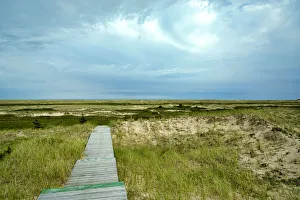 Images Dated 10th January 2019: Canada, Quebec, Iles-de-la-Madeleine. Sandy dunes and walkway