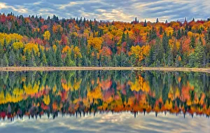Images Dated 19th March 2019: Canada, Quebec, La Mauricie National Park. Autumn colors reflected in Lac Modene