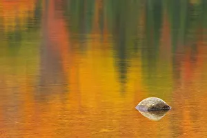 Images Dated 19th March 2019: Canada, Quebec, La Mauricie National Park. Rock and autumn colors reflected in Lac