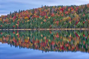 Images Dated 19th March 2019: Canada, Quebec, La Mauricie National Park. Autumn colors reflected in Lac Modene