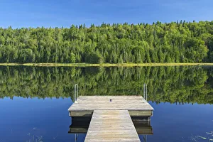 Images Dated 30th March 2018: Canada, Quebec, La Mauricie National Park. Tree reflection and dock in Lac Modene