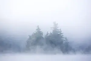Gilles Delisle Prints: Canada, Quebec, Lake Long Pond. Island in morning fog