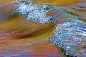 Canada, Quebec, Laurentians. Autumn foliage colors reflect on rapids in Riviere du Nord