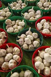 Canada, Quebec, Montreal. Little Italy, Marche Jean Talon Market, cloves of garlic
