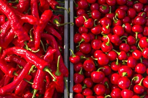 Canada, Quebec, Montreal. Little Italy, Marche Jean Talon Market, peppers