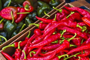 Canada, Quebec, Montreal. Little Italy, Marche Jean Talon Market, peppers