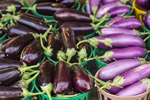 Canada, Quebec, Montreal. Little Italy, Marche Jean Talon Market, aubergines