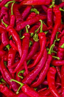 Still Life Prints: Canada, Quebec, Montreal. Little Italy, Marche Jean Talon Market, peppers